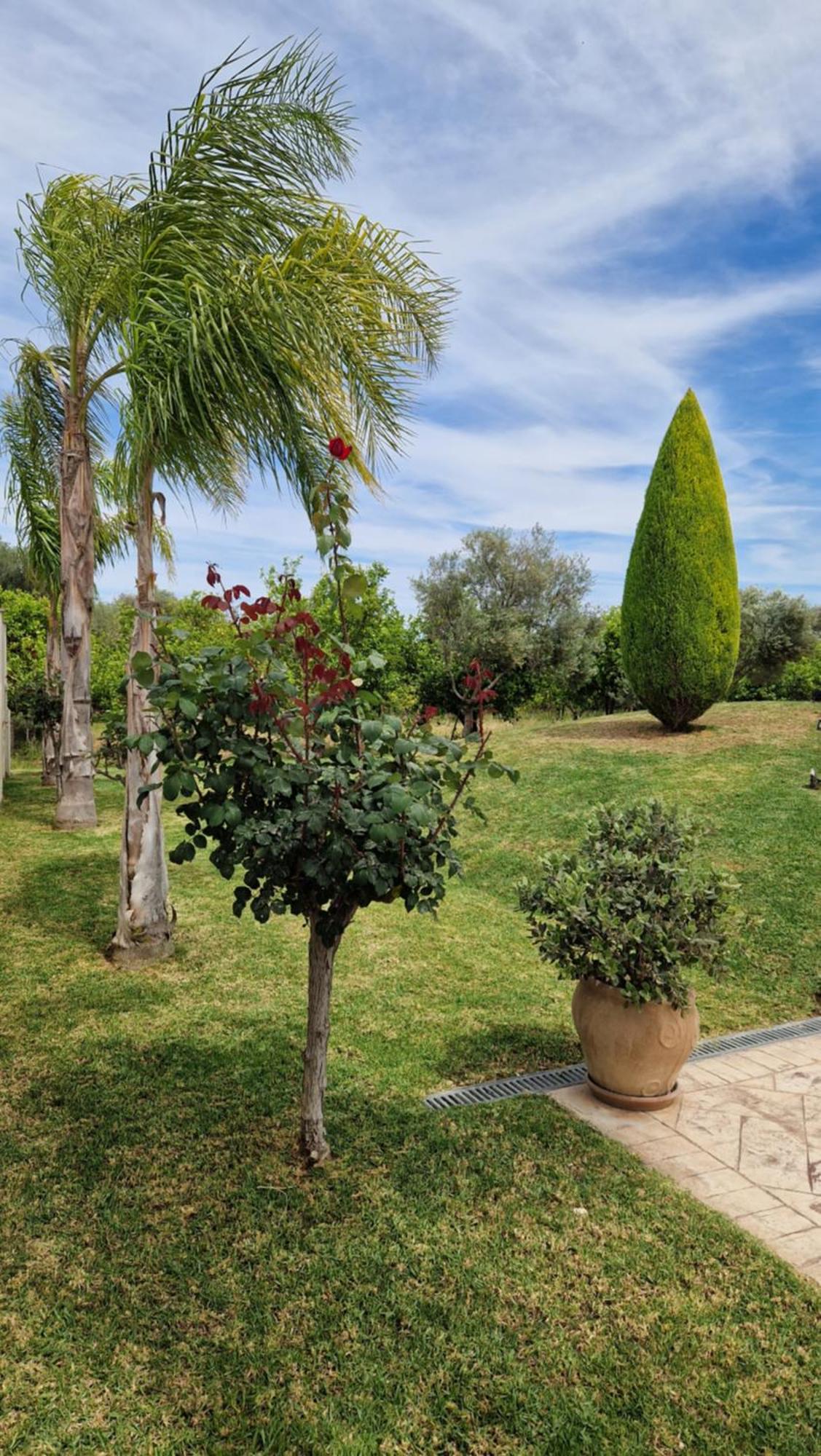 Dimitris Villa Aígion Luaran gambar
